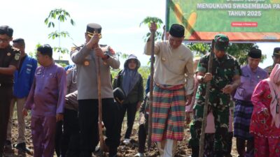 Dukung Swasembada Pangan 2025, Bupati Sarolangun bersama Forkopimda Sarolangun Lakukan Penanaman Jagung Serentak di Singkut