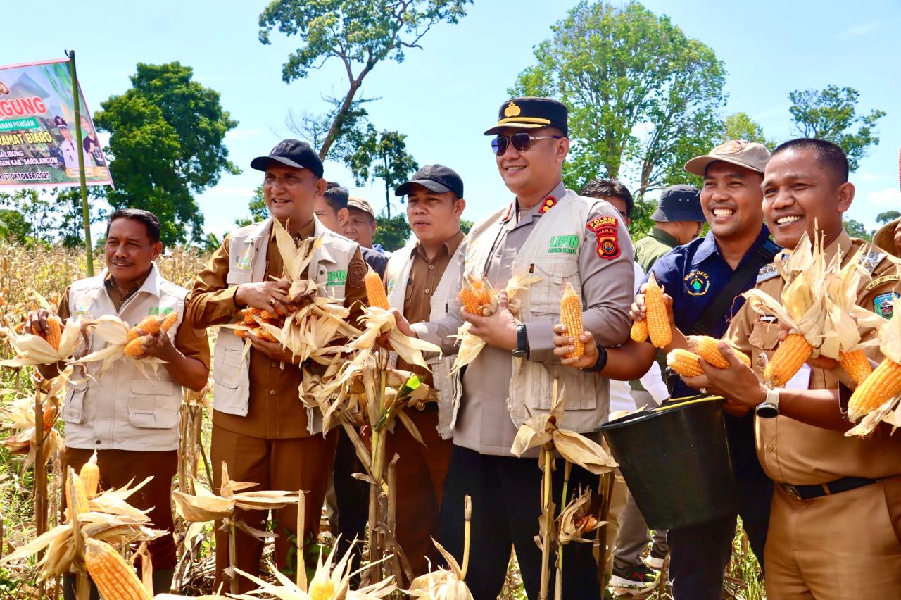 Panen Raya Jagung Bumdes Keramat Biaro Desa Lidung di Hadiri Bupati dan Kapolres Sarolangun. Panen Raya Jagung Bumdes Keramat Biaro Desa Lidung di Hadiri Bupati dan Kapolres Sarolangun.