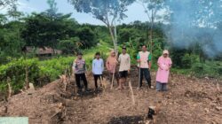 Kapolsek Cimarga Polsek Cimarga Polres Lebak Bersama Petani Jagung Desa Tambak Laksanakan Penanaman Jagung Hibrida Kapolsek Cimarga Polsek Cimarga Polres Lebak Bersama Petani Jagung Desa Tambak Laksanakan Penanaman Jagung Hibrida