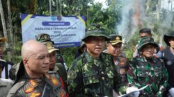 BNN MUSNAHKAN 69 TON GANJA DI ACEH UTARA BNN MUSNAHKAN 69 TON GANJA DI ACEH UTARA