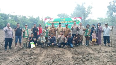 Sukseskan Program Ketahanan Pangan,Polsek Rangkasbitung Polres Lebak Tanam Jagung Kuartal IV