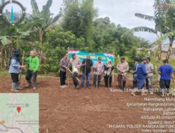 Wujudkan Kemandirian Pangan,Polsek Rangkasbitung Polres Lebak Dan Forkopimcam Rangkasbitung Tanam Jangung Hibrida Kuartal IV