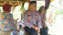 Kapolsek Cimarga Polres Lebak Cek Perkembangan Jagung, Sukseskan Ketahanan Pangan Nasional Kapolsek Cimarga Polres Lebak Cek Perkembangan Jagung, Sukseskan Ketahanan Pangan Nasional