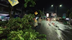 Respon Cepat Pamapta Polres Sarolangun Tangani Pohon Tumbang di Jalan Lintas Sumatera