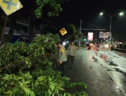 Respon Cepat Pamapta Polres Sarolangun Tangani Pohon Tumbang di Jalan Lintas Sumatera