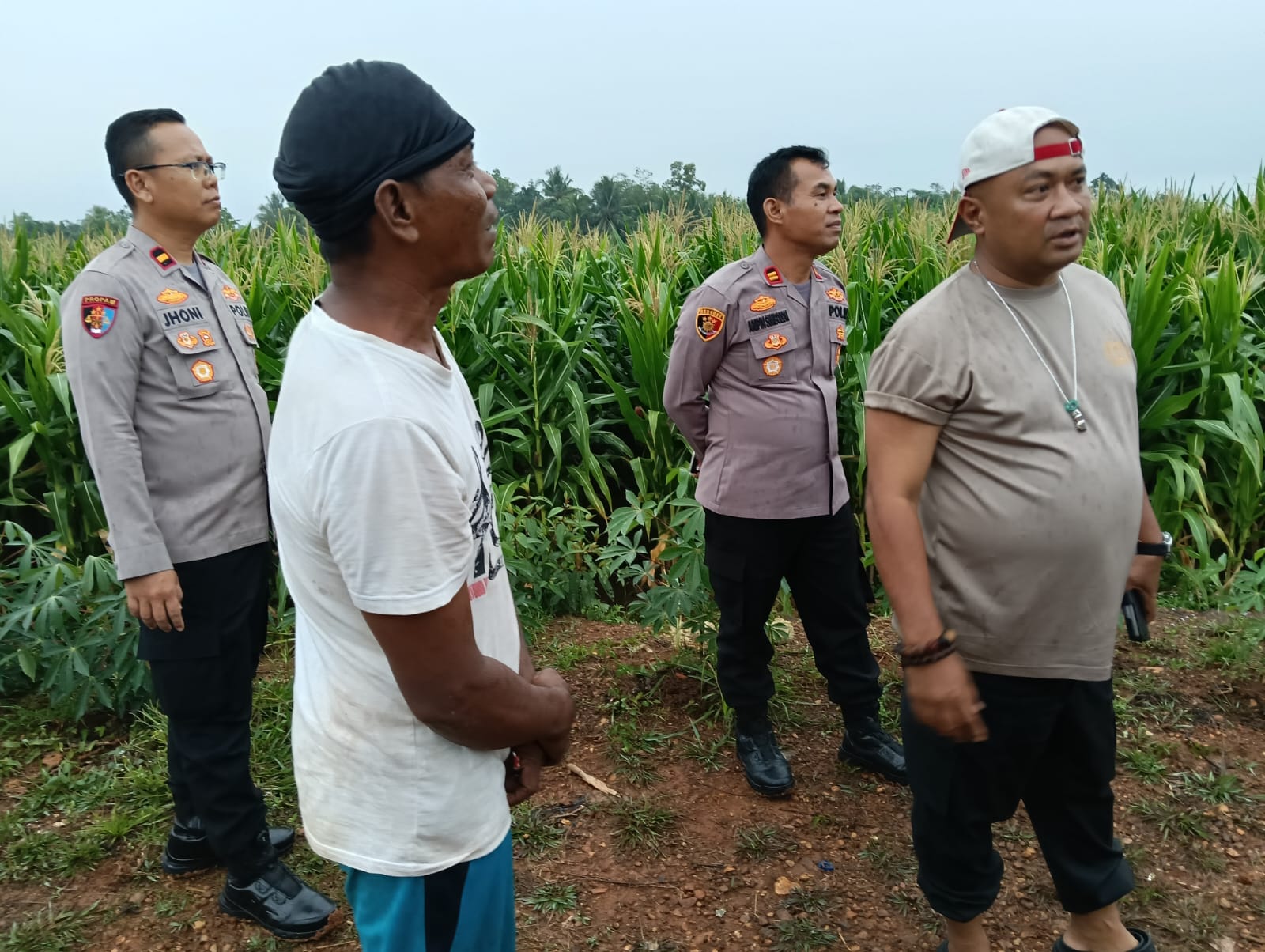 Kapolres Serang AKBP Condro Sasongko Tinjau Langsung Lahan Jagung Juara Nasional