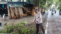 Akibat Hujan Deras Di Sertai Angin Pohon Tumbang Anggota Polsek Rangkasbitung Polres Lebak Dan BPBD Lebak Bersihkan Ranting Pohon