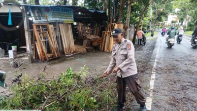 Akibat Hujan Deras Di Sertai Angin Pohon Tumbang Anggota Polsek Rangkasbitung Polres Lebak Dan BPBD Lebak Bersihkan Ranting Pohon