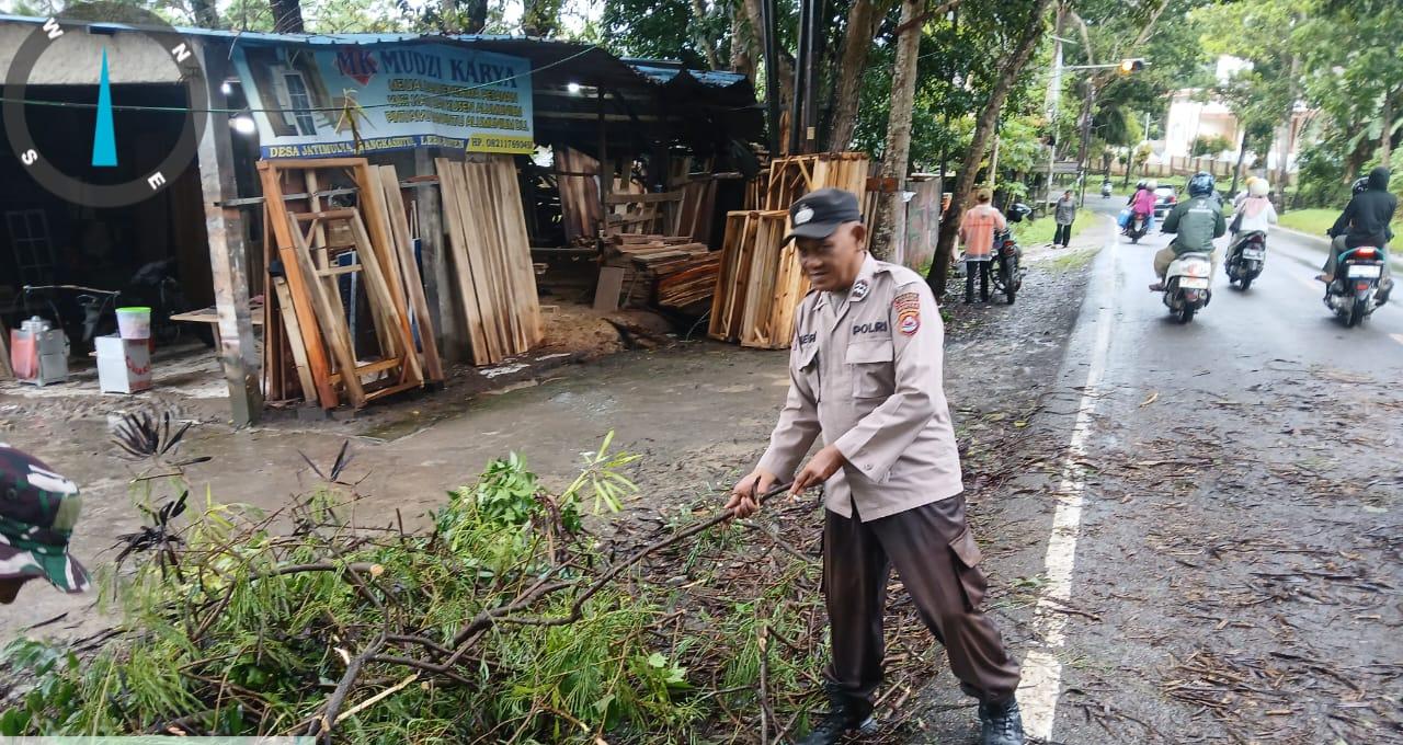 Akibat Hujan Deras Di Sertai Angin Pohon Tumbang Anggota Polsek Rangkasbitung Polres Lebak Dan BPBD Lebak Bersihkan Ranting Pohon