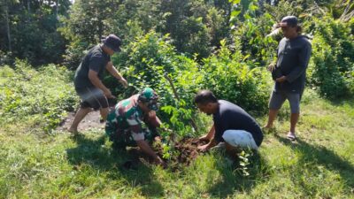 Jaga Kelestarian Lingkungan, Babinsa Gogodeso Bersama Warga Tanam Pohon Keras