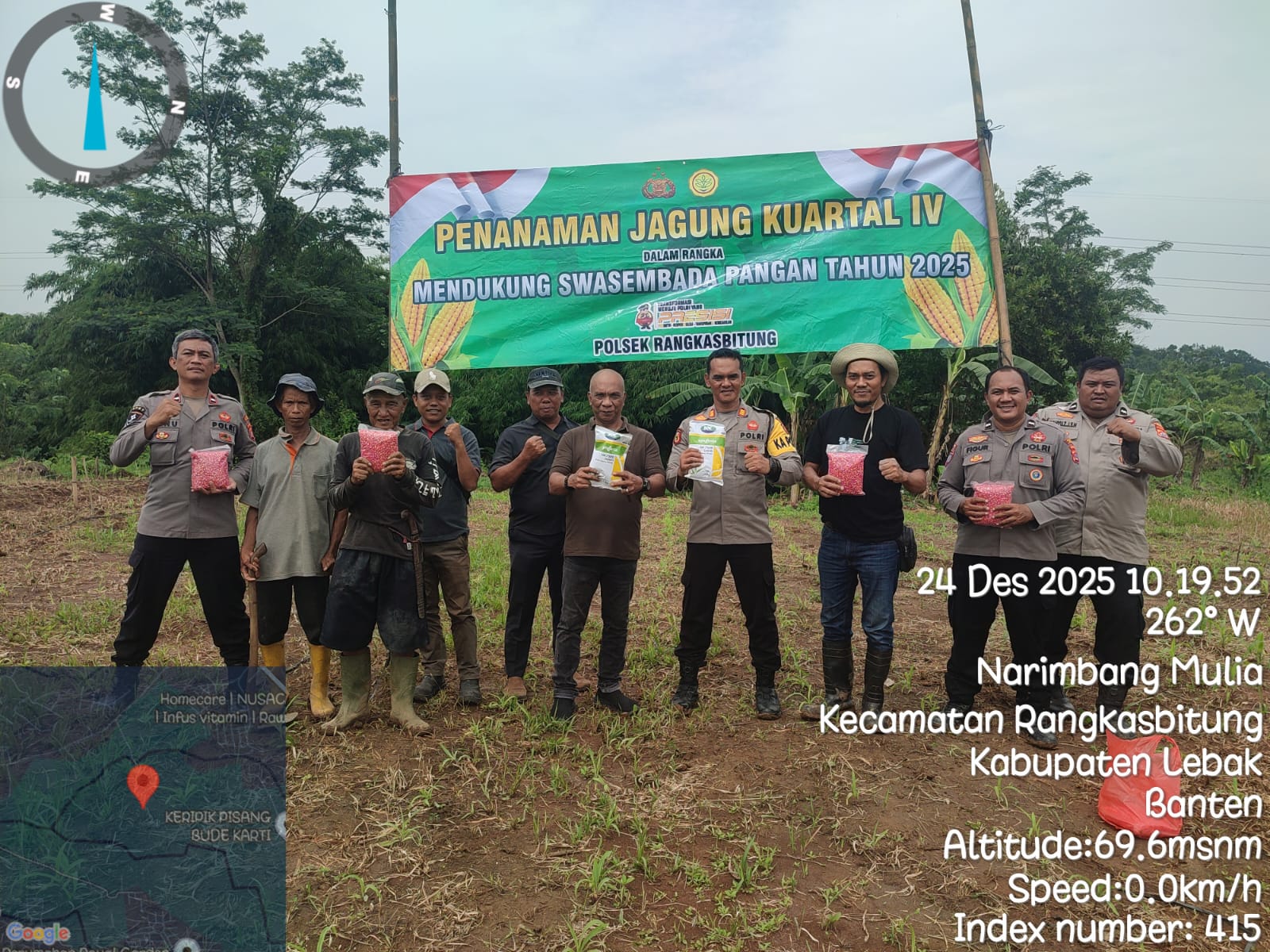 Penanaman Jagung Hibrida Syngenta NK 7328 Kuartal IV di Kampung Cidingin Polsek Rangkasbitung Polres Lebak Dukung Ketapang