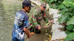 Babinsa Bendowulung Ajak Warga, Jaga Kebersihan Dan Kelestarian Sumber Mata Air Babinsa Bendowulung Ajak Warga, Jaga Kebersihan Dan Kelestarian Sumber Mata Air