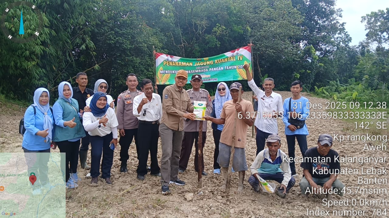 Polsek Rangkasbitung Tanam Jagung Hibrida Dukung Ketahanan Pangan Nasional Bersama Forkopimcam Kecamatan Kalanganyar