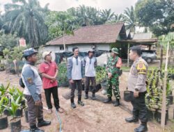 Babinsa Koramil 420-08/Tabir, Laksanakan komsos bersama warga dan linmas di Desa Bungo Tanjung,