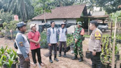 Babinsa Koramil 420-08/Tabir, Laksanakan komsos bersama warga dan linmas di Desa Bungo Tanjung,
