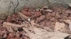 Proyek Peningkatan Kawasan Permukiman di Desa Curugpanjang Disorot, Rabat Beton Diduga Alami Gagal Konstruksi