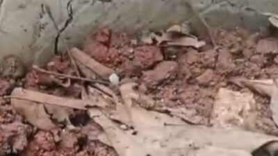 Proyek Peningkatan Kawasan Permukiman di Desa Curugpanjang Disorot, Rabat Beton Diduga Alami Gagal Konstruksi