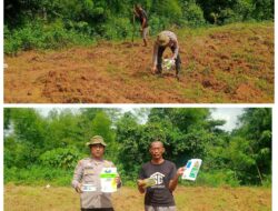 Bhabinkamtibmas Polsek Rangkasbitung Tanam Jagung Hybrida NK 212 Bersama Petani Dukung Ketahanan Pangan Nasional