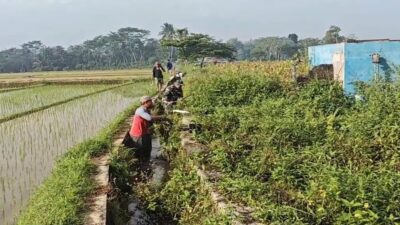 Bersihkan Saluran Irigasi Sawah, Sertu Yudha Gotong Royong Bersama Warga Desa Ngreco Bersihkan Saluran Irigasi Sawah, Sertu Yudha Gotong Royong Bersama Warga Desa Ngreco