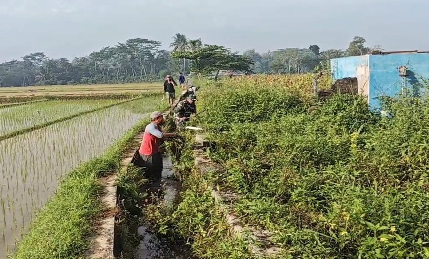Bersihkan Saluran Irigasi Sawah, Sertu Yudha Gotong Royong Bersama Warga Desa Ngreco