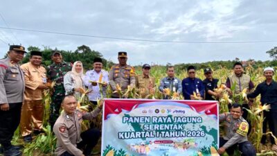 Sinergi Polri, Pemkab dan Masyarakat, Polres Sarolangun Gelar Panen Raya Jagung Dukung Swasembada Pangan 2026.