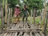 Jembatan Perintis Garuda, Wujudkan Mimpi Dan Harapan Warga Desa Bendosewu