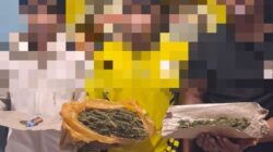 Sat Resnarkoba Polres Aceh Tengah Ungkap Kasus Narkotika Jenis Ganja, Tiga Pelaku Diamankan