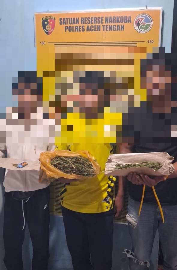 Sat Resnarkoba Polres Aceh Tengah Ungkap Kasus Narkotika Jenis Ganja, Tiga Pelaku Diamankan