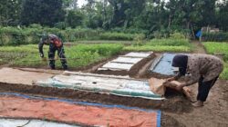 Aktif Dampingi Petani, Dari Penyiapan Lahan hingga Pascapanen Oleh Babinsa Koramil 420-04/Sarolangun