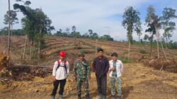 Babinsa Koramil 420-03/Pauh Kodim 0420/Sarko. Himbau dan ajak masyarakat tidak membuka hutan dan dengan cara dibakar