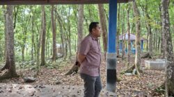 Fasilitas dan Penghuni Baru Arboretum Siap Manjakan Pengunjung, Bupati M. Syukur Tinjau Progres Perbaikan