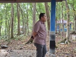 Fasilitas dan Penghuni Baru Arboretum Siap Manjakan Pengunjung, Bupati M. Syukur Tinjau Progres Perbaikan