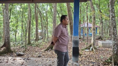 Fasilitas dan Penghuni Baru Arboretum Siap Manjakan Pengunjung, Bupati M. Syukur Tinjau Progres Perbaikan