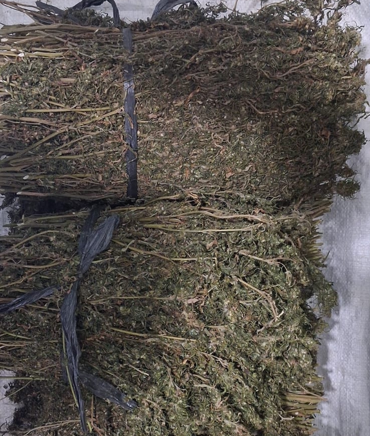 Polres Aceh Tengah Kembali Ungkap Peredaran Narkotika, Ringkus Pelaku dan Amankan 7 Kilogram Ganja