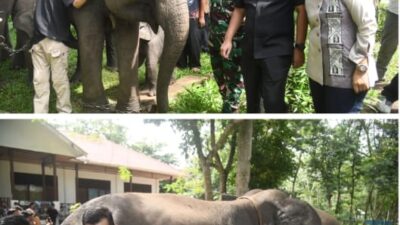 Ketua DPRD Lampung: Atensi Presiden Jadikan Way Kambas Percontohan Nasional Harus Dikawal Bersama