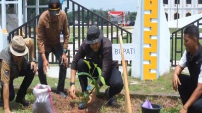 Wariskan Lingkungan Sehat, Merangin Hijaukan Bumi dengan 4.000 Bibit Pohon