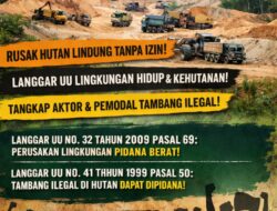 LSM dan Warga Desak Kapolres Bintan Bertindak Tegas Hentikan Tambang Pasir Ilegal di Hutan Lindung Gunung Kijang
