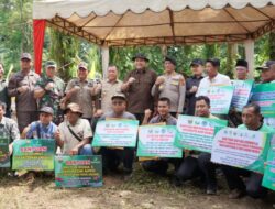 Luas Tanam Sawah di Merangin Naik 11 Persen, Bupati M. Syukur Pacu Bantuan Alsintan dan Infrastruktur