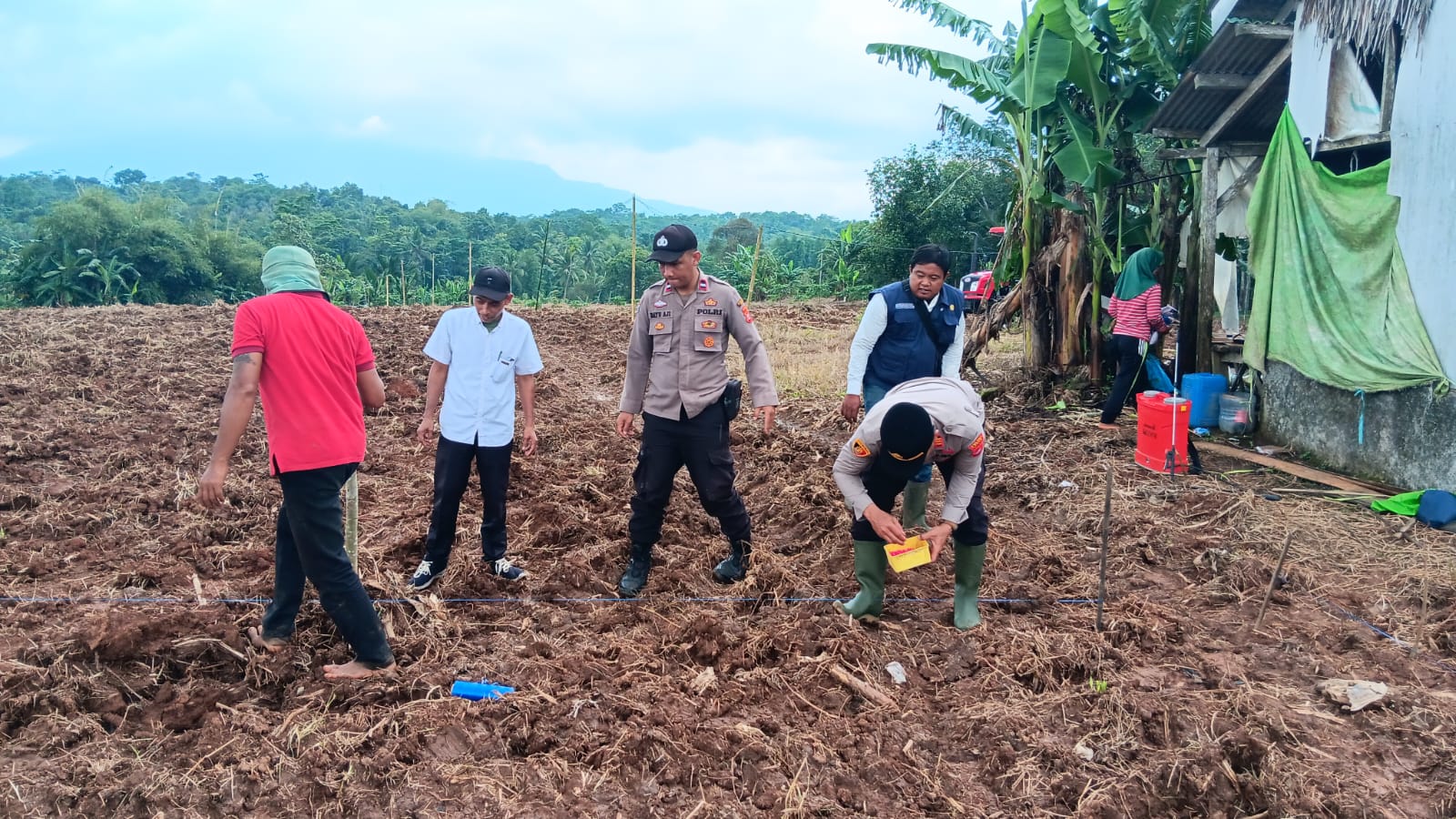 Perkuat Ketahanan Pangan Nasional, Personel Polsek Cikulur Bersama Petani Tanam Jagung  ‎