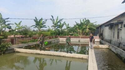 Babinsa Tinjau Usaha Perikanan Warga, Beri Dukungan Tingkatkan Produktivitas