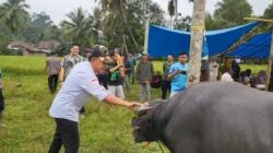 Buka Bantaian Adat di Desa Bukit Batu, Wabup A. Khafidh Bangga Tradisi Tetap Terjaga Buka Bantaian Adat di Desa Bukit Batu, Wabup A. Khafidh Bangga Tradisi Tetap Terjaga