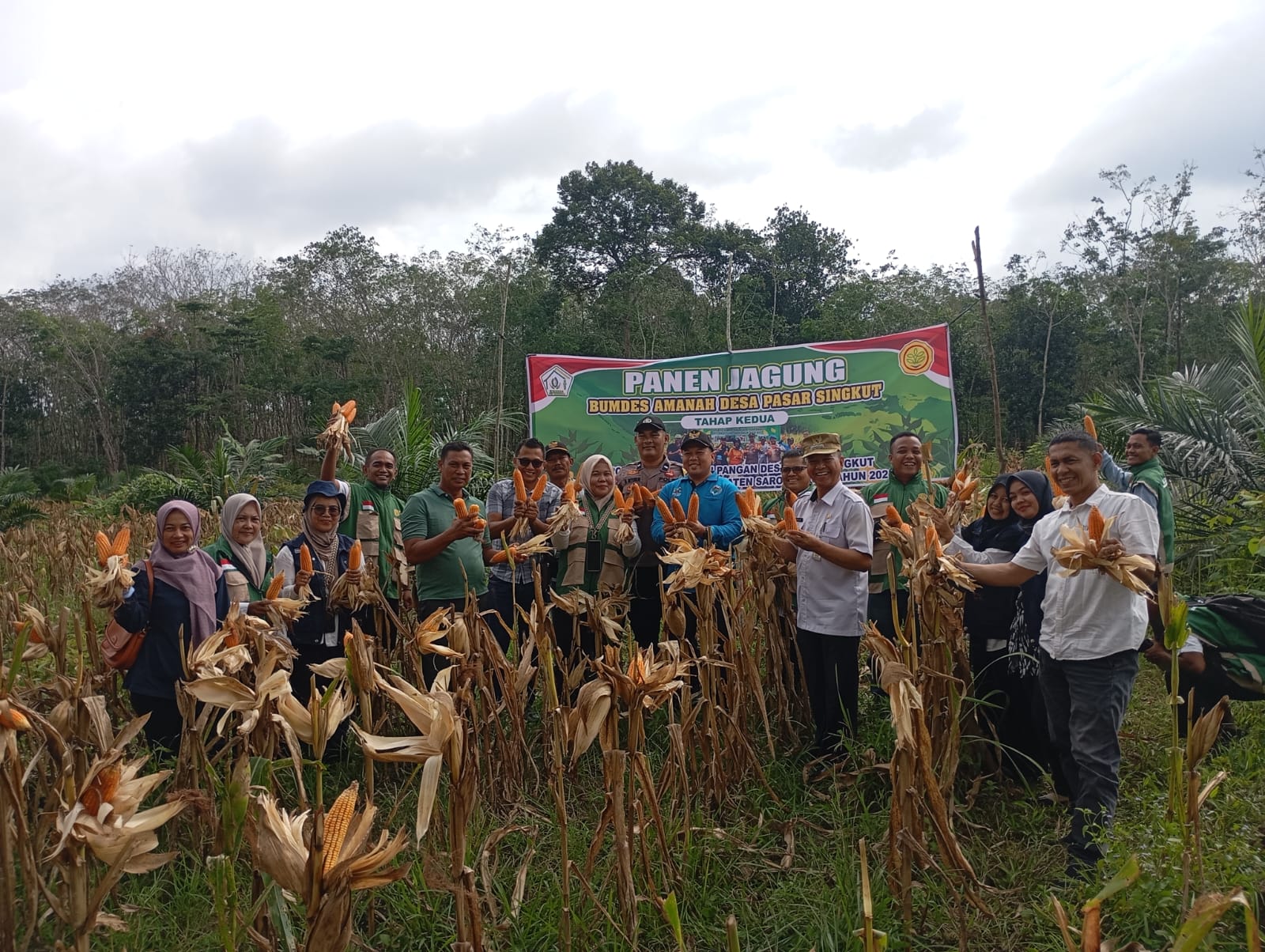 Dukung Program Nasional, Polsek Pelawan Singkut Panen Jagung 1 Ton di Desa Pasar Singkut