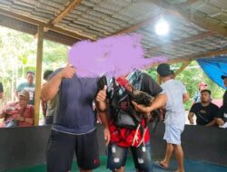 Judi Sabung Ayam di Medan, Kapolda Diminta Tindak Tegas