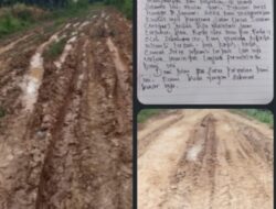 Kubangan di Jalan Lintas Selatan, Ulah Jonder Sawit Picu Amarah Warga Senuruk