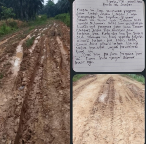 Kubangan di Jalan Lintas Selatan, Ulah Jonder Sawit Picu Amarah Warga Senuruk