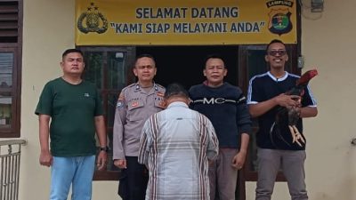 Polsek Pugung Ungkap Kasus Pencurian Ayam Bangkok, Pelaku asal Talang Padang Ditangkap Polsek Pugung Ungkap Kasus Pencurian Ayam Bangkok, Pelaku asal Talang Padang Ditangkap