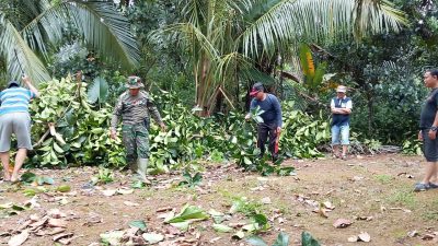 Babinsa Koramil 420-09/Bangko bersama warga bergotong royong
