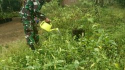 Babinsa Bantu Petani Bersihkan Dan Lakukan Perawatan Lahan Pertanian