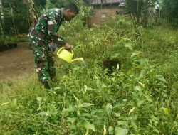 Babinsa Bantu Petani Bersihkan Dan Lakukan Perawatan Lahan Pertanian