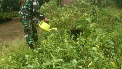 Babinsa Bantu Petani Bersihkan Dan Lakukan Perawatan Lahan Pertanian